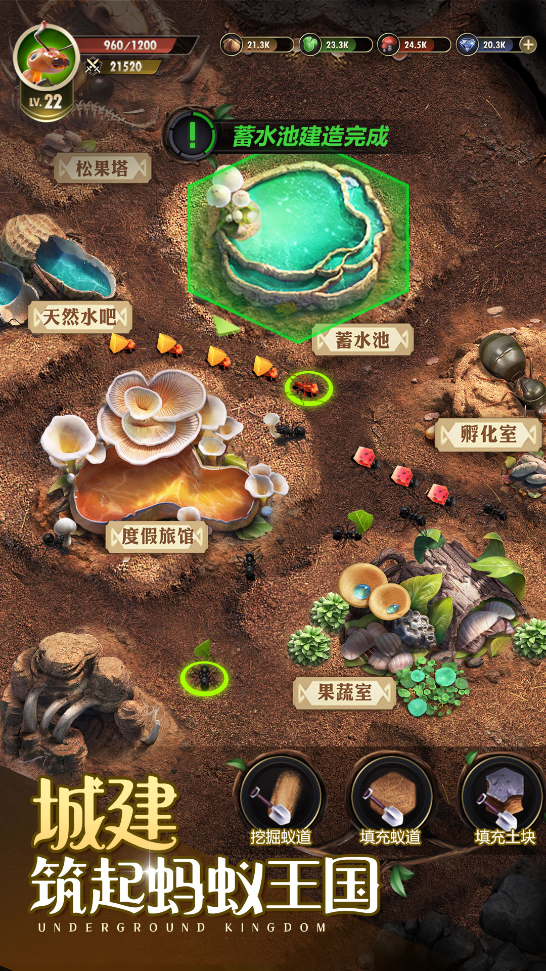小小蚁国:送648元金甲蚁