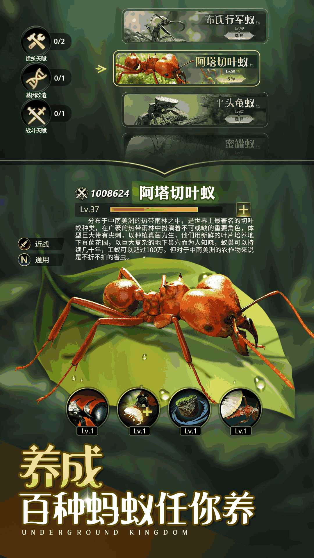 小小蚁国:送648元金甲蚁